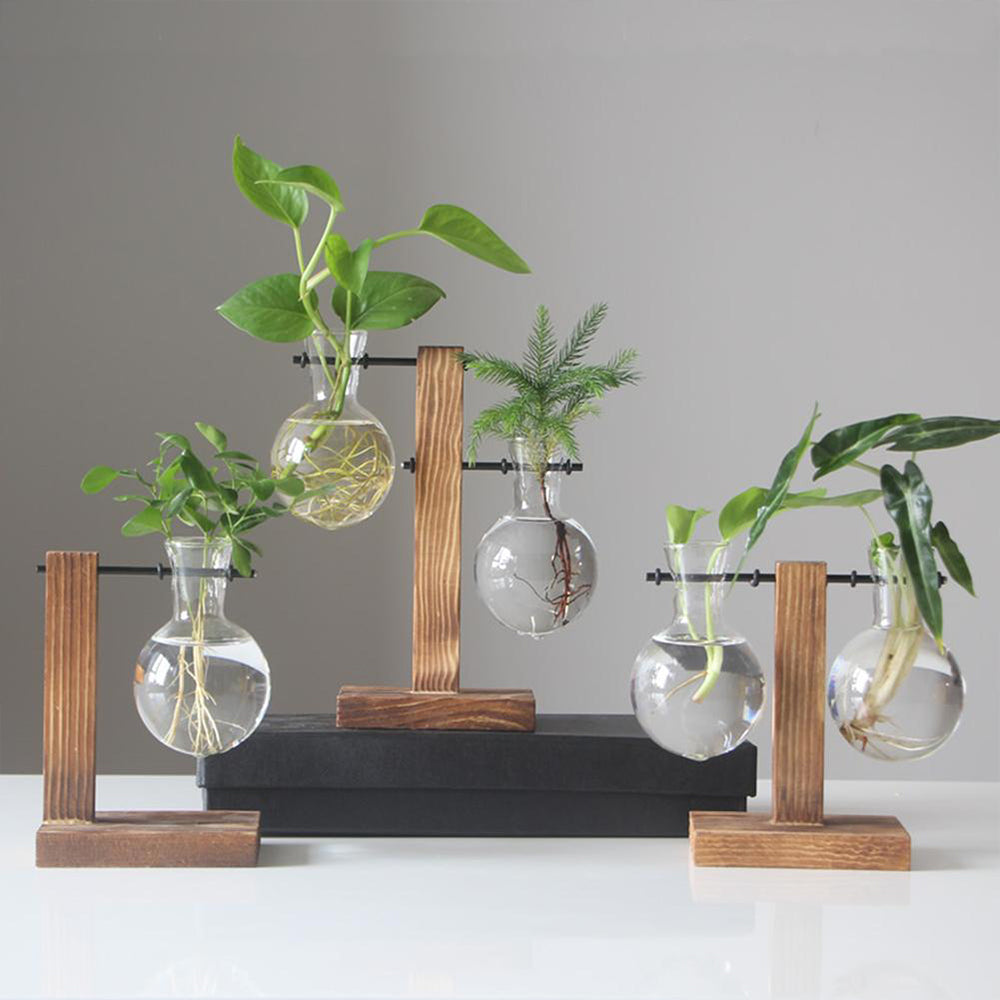 Creative Glass Desktop Planter Vase | Wooden Stand Hydroponic Plant Container | Home Décor