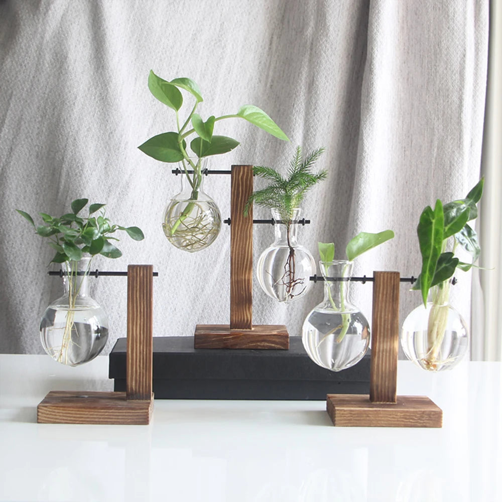 Creative Glass Desktop Planter Vase | Wooden Stand Hydroponic Plant Container | Home Décor