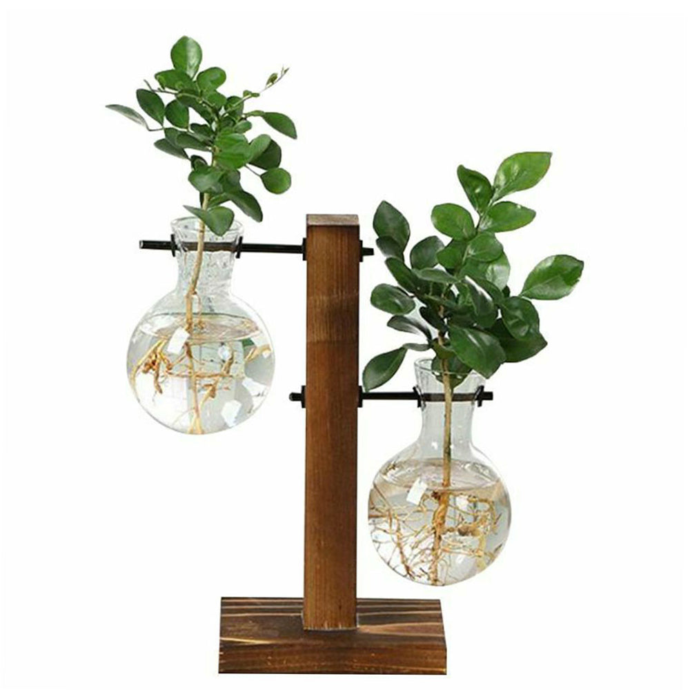 Creative Glass Desktop Planter Vase | Wooden Stand Hydroponic Plant Container | Home Décor