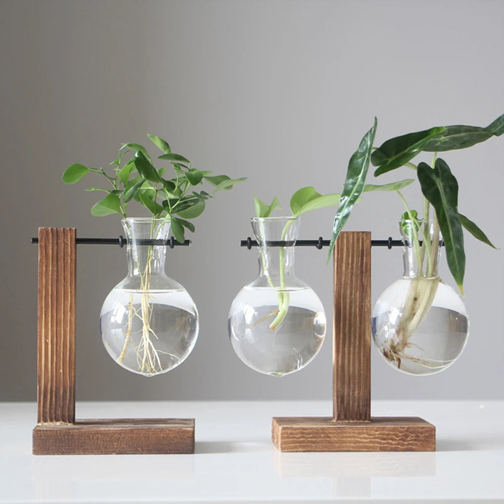 Creative Glass Desktop Planter Vase | Wooden Stand Hydroponic Plant Container | Home Décor