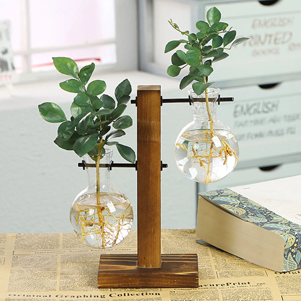 Creative Glass Desktop Planter Vase | Wooden Stand Hydroponic Plant Container | Home Décor