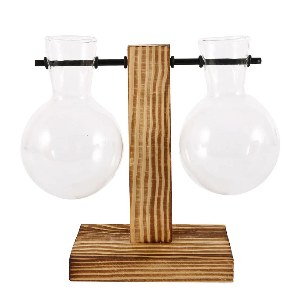 Creative Glass Desktop Planter Vase | Wooden Stand Hydroponic Plant Container | Home Décor
