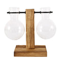Creative Glass Desktop Planter Vase | Wooden Stand Hydroponic Plant Container | Home Décor