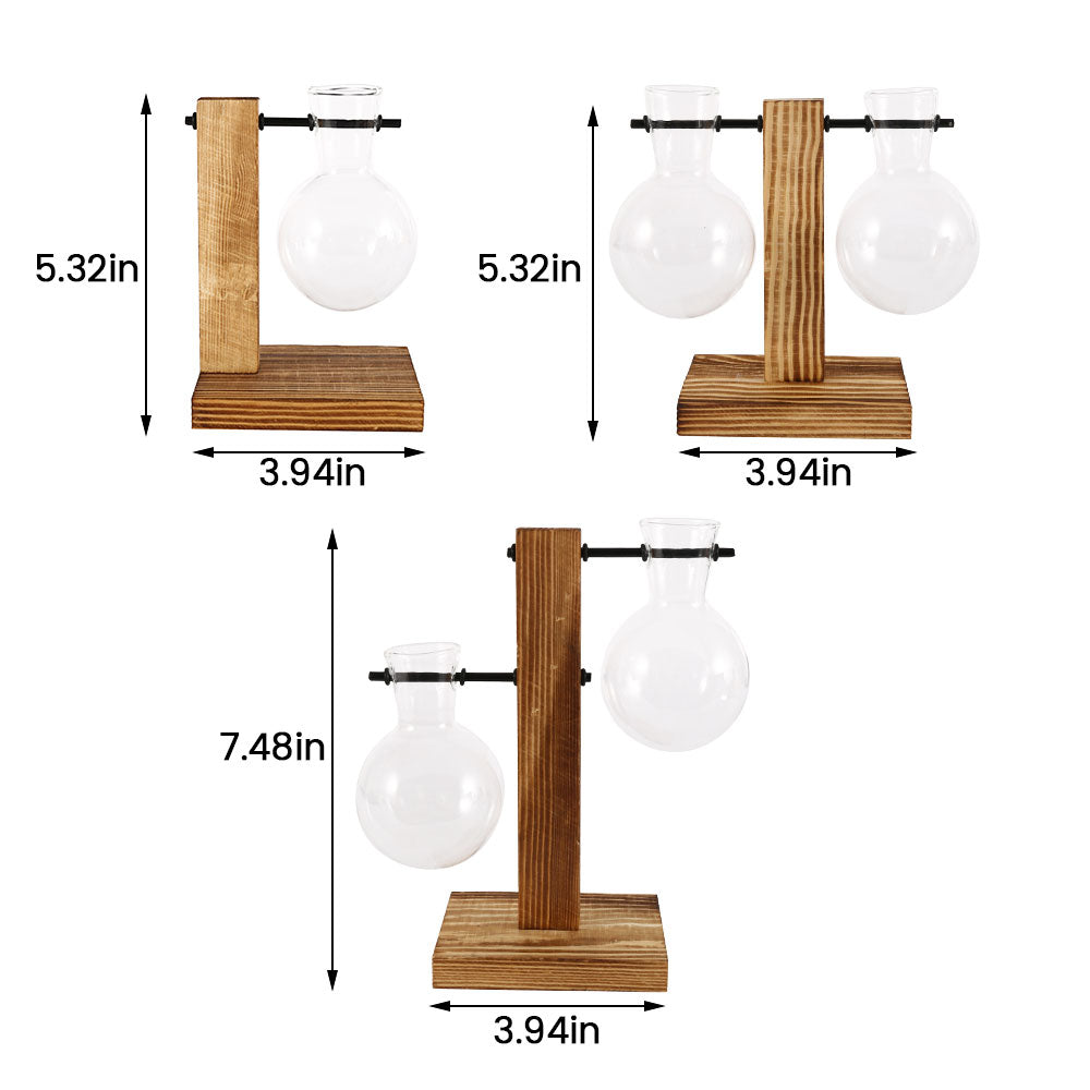 Creative Glass Desktop Planter Vase | Wooden Stand Hydroponic Plant Container | Home Décor