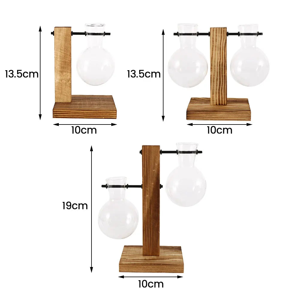 Creative Glass Desktop Planter Vase | Wooden Stand Hydroponic Plant Container | Home Décor