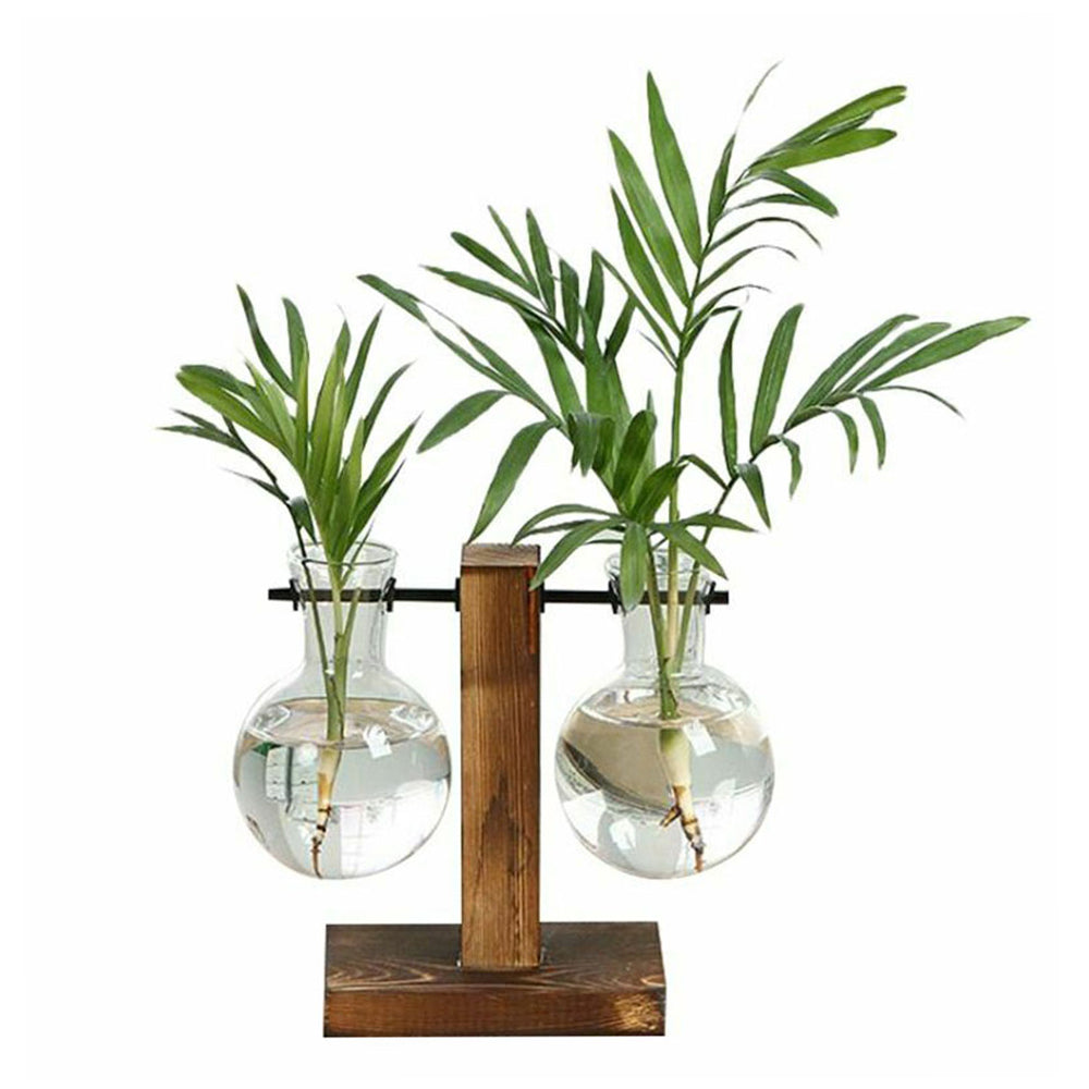 Creative Glass Desktop Planter Vase | Wooden Stand Hydroponic Plant Container | Home Décor
