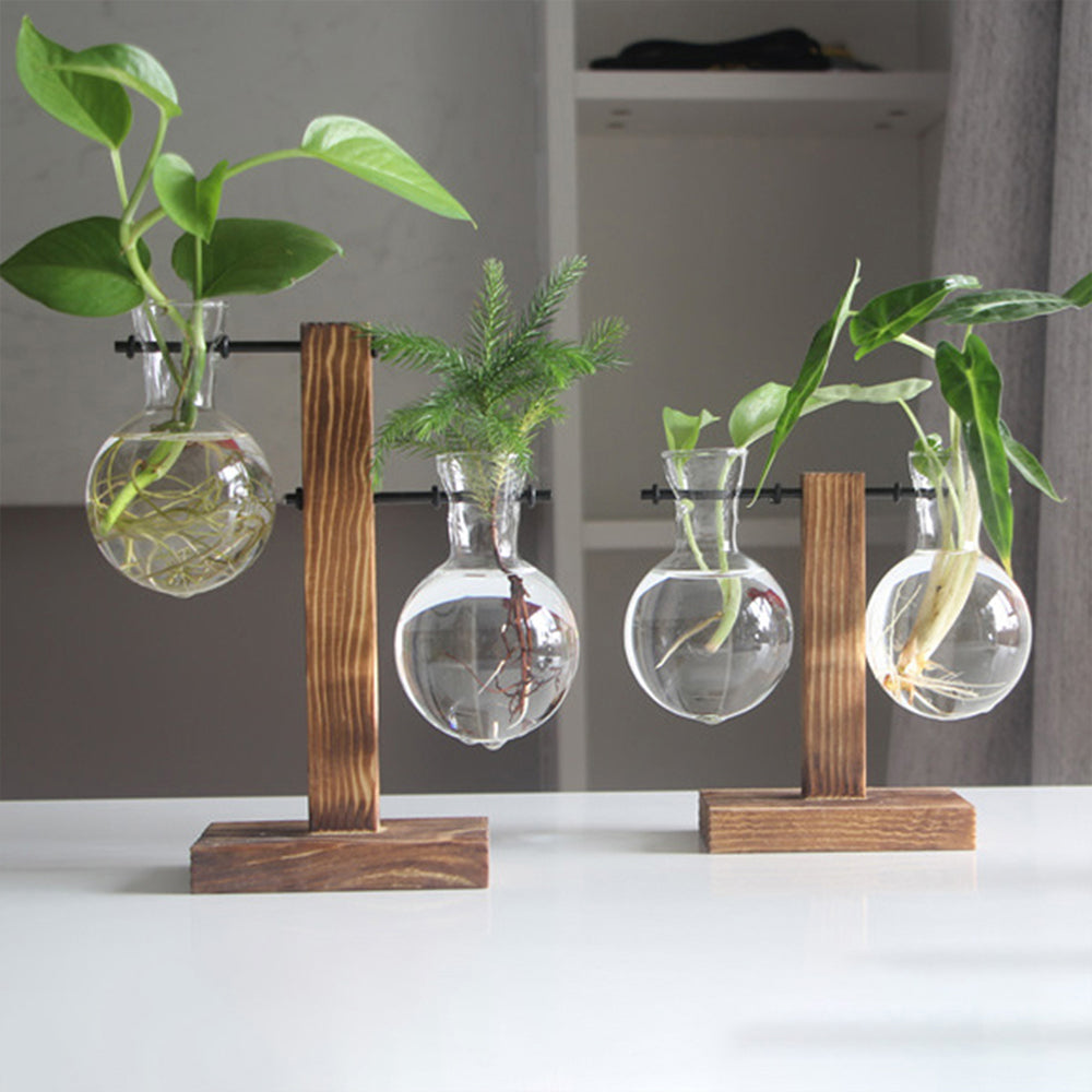 Creative Glass Desktop Planter Vase | Wooden Stand Hydroponic Plant Container | Home Décor