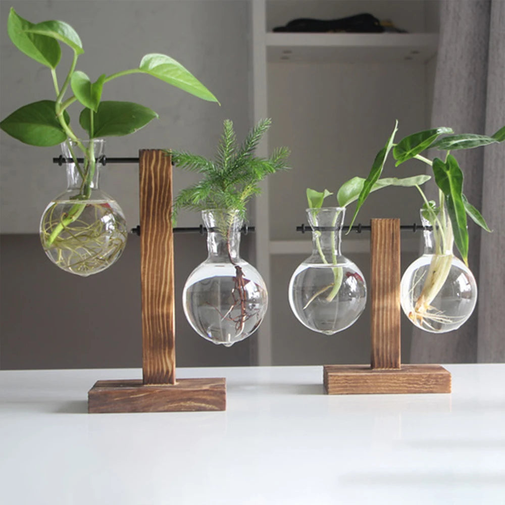 Creative Glass Desktop Planter Vase | Wooden Stand Hydroponic Plant Container | Home Décor